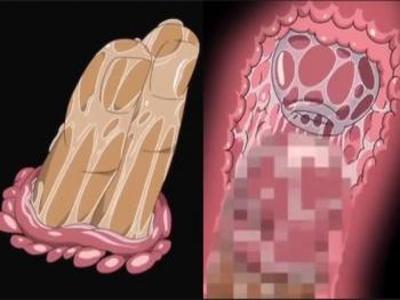 Thumbnail of post image 060